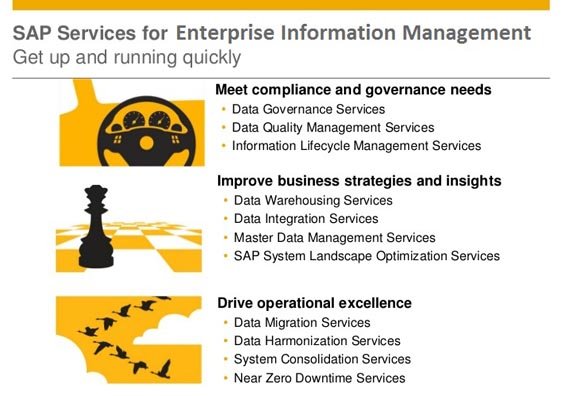 services services