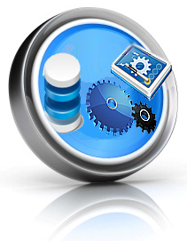 sirius business solutions icon application development